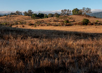 Grassland, Chaparral, and Oaks in Autumn