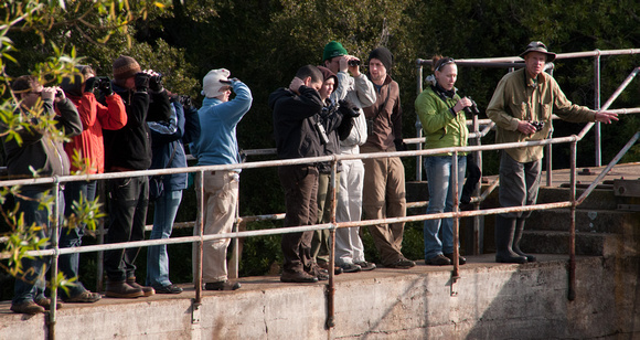 Peter LaTourette Leads a group of Birders from Iowa State