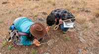 Ant Surveyors