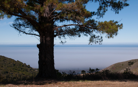 Foggy Pacific Ocean from Big Sur