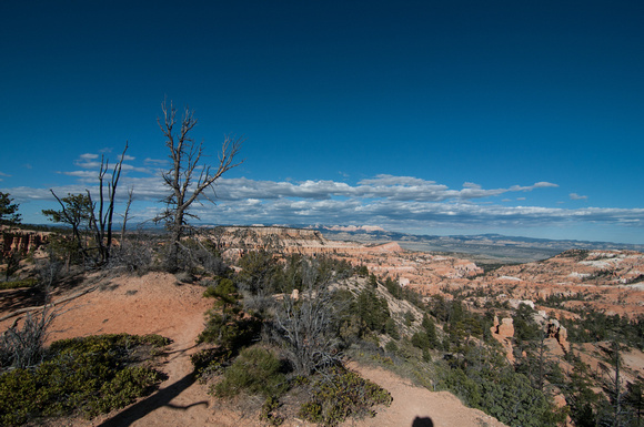 From the Rim Trail
