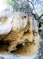 Tafoni of Rattlesnake Rock