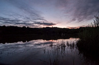 Searsville Lake before Dawn