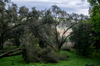 View of Webb Ranch