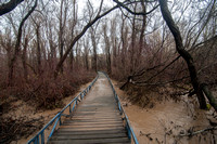 Leonard's Bridge after Inundation
