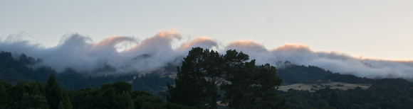 Waves of Fog on Windy Hill