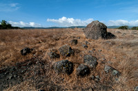 Serpentine Rocks on the Ridge (2)