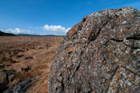 Serpentine Rock with Multicolored Lichen