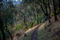 Sweet Springs Trail in November