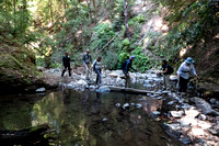 Peter's Creek to Portola Redwoods State Park