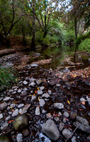 San Francisquito Creek