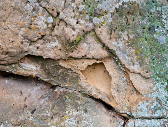 Sandstone Wall (Detail)