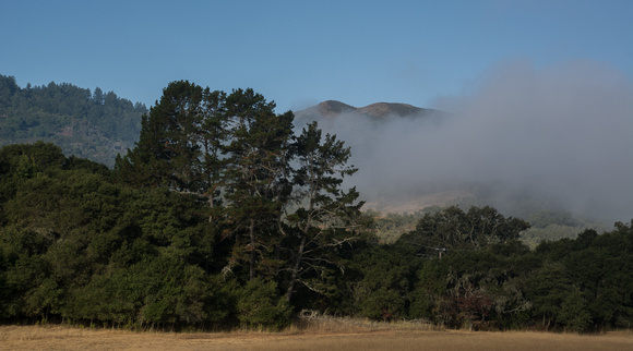 Windy Hill and Fog