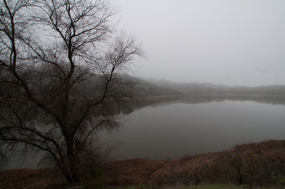 Searsville Lake, Foggy Morn (2)