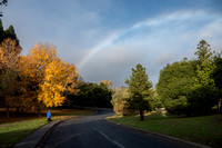 12/6/2023 Rainbow over Frog Pond (Once More)