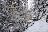 11/8/2020 Adventure on Vernal Falls Loop in First Snowfall (Few)