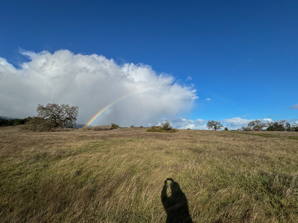 Approaching Raincloud with Rainbow