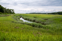 View of Marsh