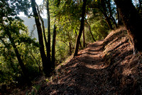 Sweet Springs Trail