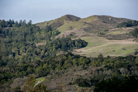 Windy Hill in the Springtime