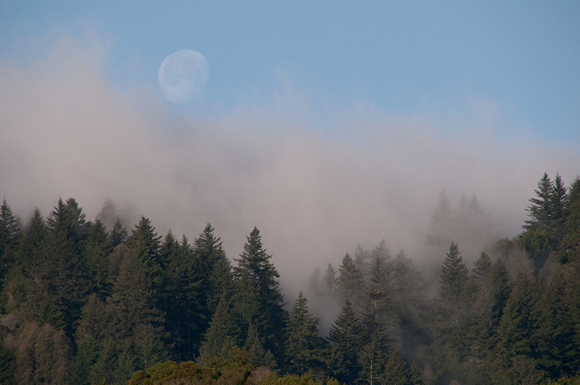 Moon and Fog