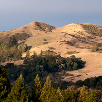 Windy Hill at Dawn (Detail)