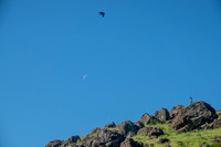Crow, Moon, Boulders, Sky