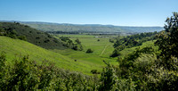 Coyote Valley Panorama (2)