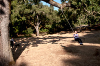 Swing in Mader Valley (2011)