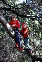 Growing Up in Portola Valley (1978)