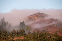 Fog Caresses Windy Hill