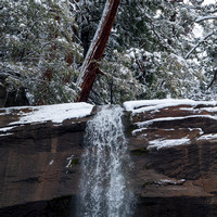 11/8/2020 Mist Trail in Snow and Mist (More)