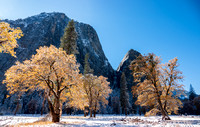11/9/2020 Yosemite Valley in Snow