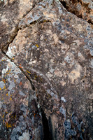 Lichen on Vertical Sandstone at Sacred Space
