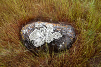 Serpentine Rock in Grasslands (2)