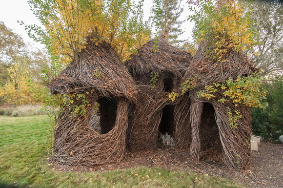 Living Willow Play Structure