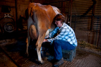 110121_milking_cow_aspen_milks_cleo_a_dq