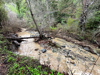 Corte Madera Creek beside Eagle Trail