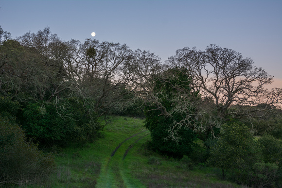 Welcome to Jasper Ridge with Moon