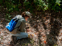 9/28/2013 Fall Ant Survey