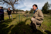 2/16/2013 Rodolfo Dirzo, Oak Herbivory