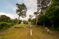 Behind the House: View from the Marsh