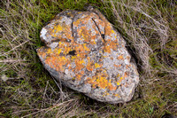 Serpentine Rock