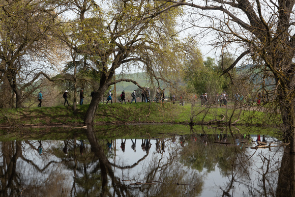 Oaks and Wetlands