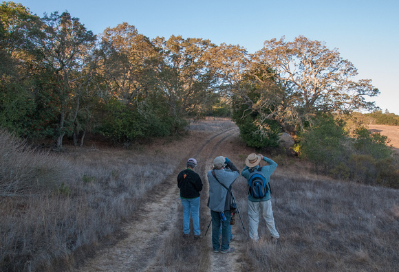 Birders near Escobar Gate