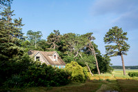 Cottage and Marsh