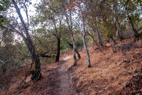 Trail 2