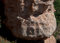Eagle Soars at Clilojo Cliffs