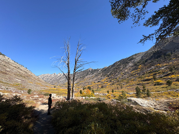 Head of Lamoille Canyon