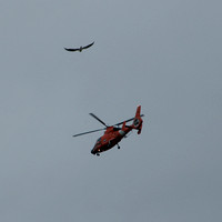 Helicopter over Jasper Ridge